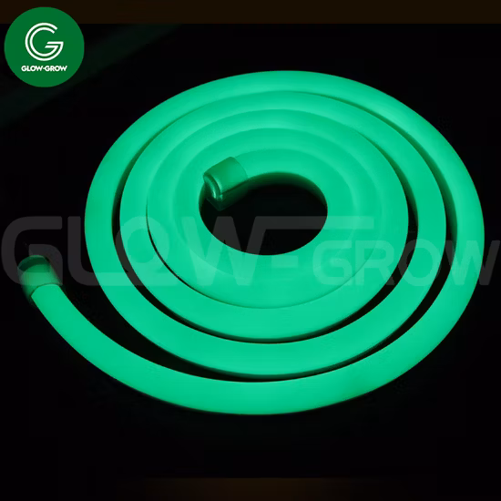 12V/24V Waterproof IP67 8*16mm Silicone LED Neon Light SMD2835 Flexible Neon Strip Flex for Decoration