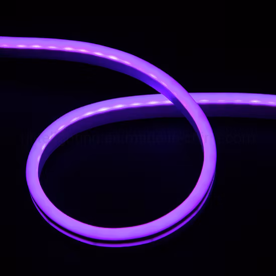 High Brightness LED Neon Flex 120LED/M IP65 for Decoration Lighting