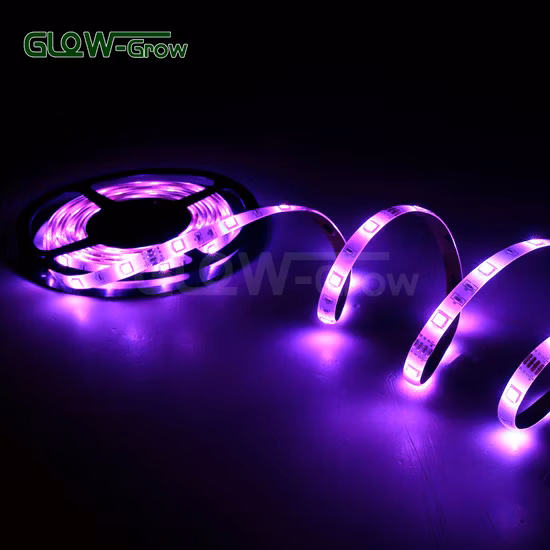 Wholesale Waterproof Bluetooth SMD 5050 RGB LED Strip Lights for Home Room Christmas Decoration 5m/10m/15m/20m