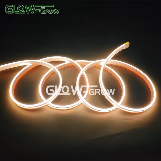 CE RoHS 5*10mm Size 24V Warm White Strip Light LED Neon Flex for Christmas Holiday Festival Decoration